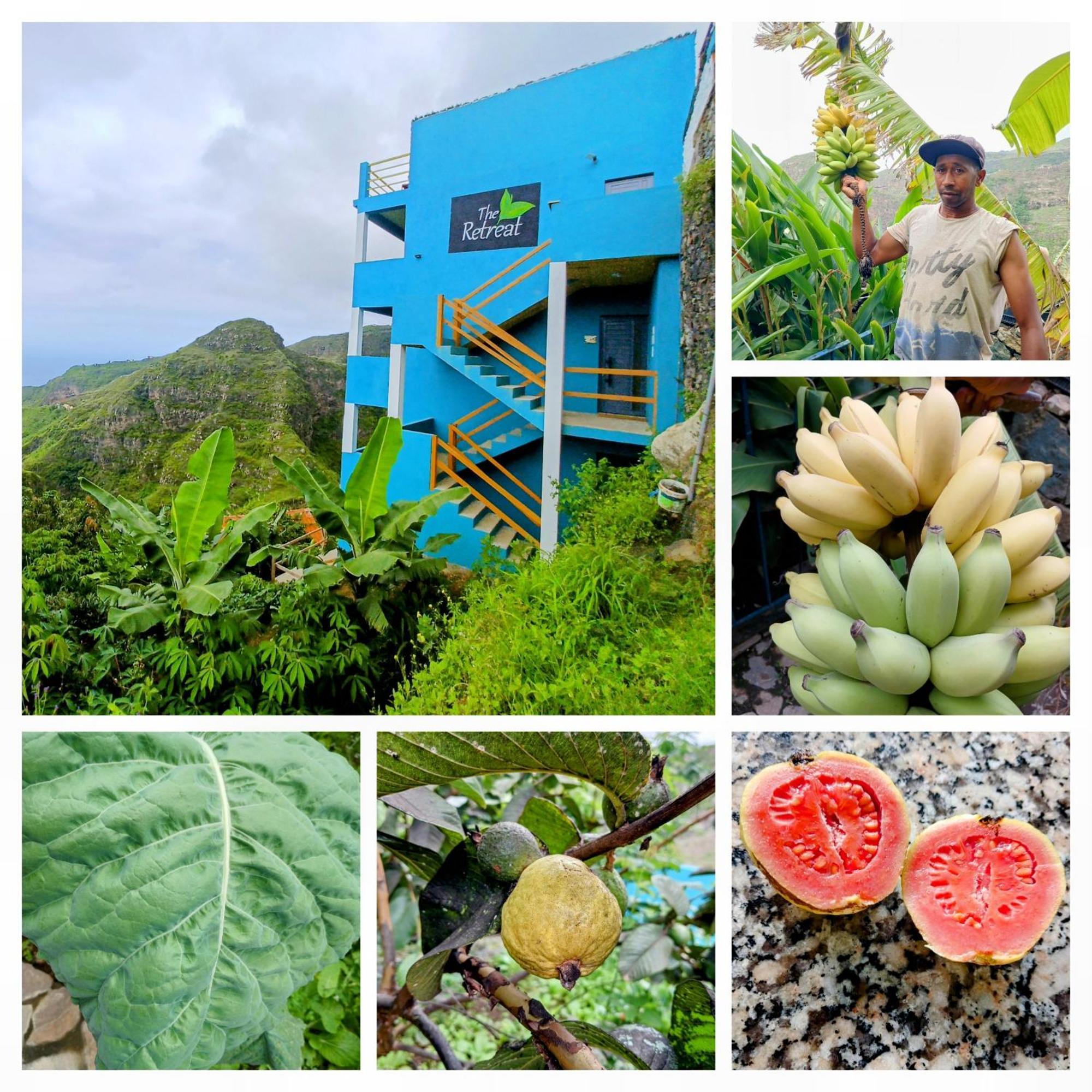 Monte Joana The Retreat酒店 外观 照片
